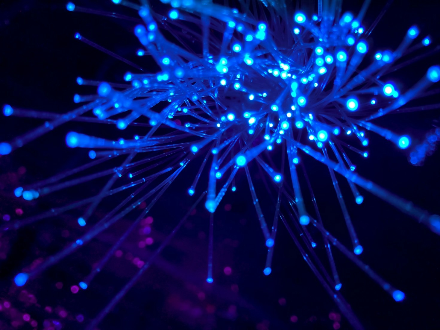 Building a Culture of Security and Innovation